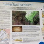Seltenbachschlucht (80)