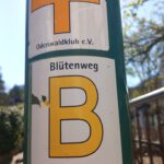 SaarRheinMainWeg (17)