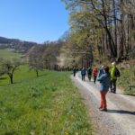 SaarRheinMainWeg (68)