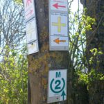 SaarRheinMainWeg (82)