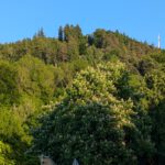 TagDesWanderns25 (6)