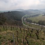 TauberVortour (8)