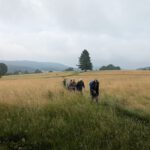 LT25-Weinheim (15)