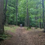 LT25-Weinheim (4)