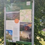 WeinTauber (12)