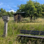 WeinTauber (16)