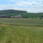 WeinTauber (20)