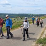 WeinTauber (26)