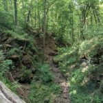 WeinTauber (5)