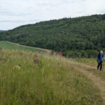 WeinTauber (72)