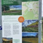 WeinTauber (82)