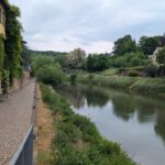 Wertheim (12)
