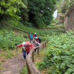 Wertheim (20)