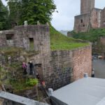 Wertheim (24)