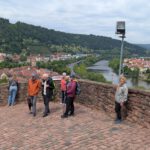 Wertheim (29)