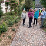 Wertheim (40)
