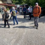 Wertheim (42)
