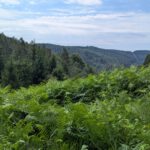 Marbachstausee (6)