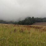 GaremerFrühwanderung (6)