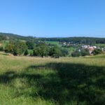PXL_20250810_091006330