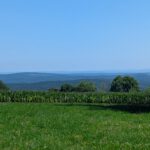 PXL_20250810_092729327