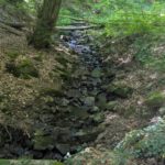 PXL_20250810_115847499