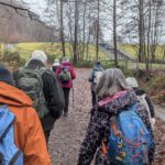 Jahresabschluss25 (1)