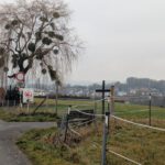 Jahresabschluss25 (15)