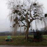 Jahresabschluss25 (16)