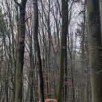 Jahresabschluss25 (21)