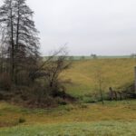 Jahresabschluss25 (3)