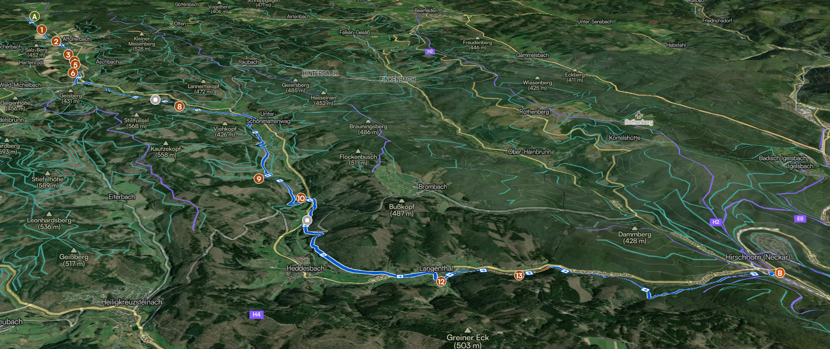 Entlang des Ulfenbachs nach Hirschhorn - Leistungstour -