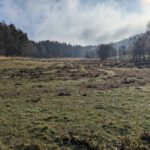 RundeGrasEllenbach (10)