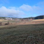 RundeGrasEllenbach (12)