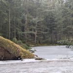 RundeGrasEllenbach (22)