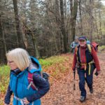 Frühjahreswanderung (2)