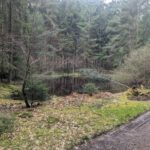 Frühjahreswanderung (20)