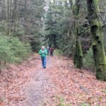 Frühjahreswanderung (4)