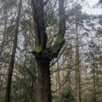 Frühjahreswanderung (9)