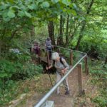Waldlehrpfad(16)