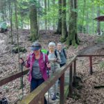 Waldlehrpfad(5)