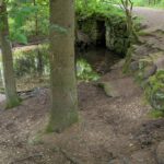 Waldlehrpfad(6)
