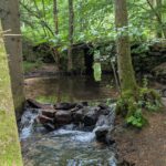 Waldlehrpfad(7)