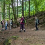 Waldlehrpfad(8)