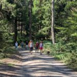 Sensbachtal (10)
