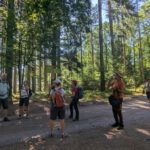 Sensbachtal (11)