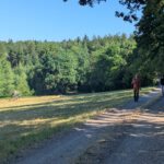 Sensbachtal (12)