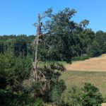 Sensbachtal (13)