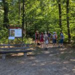 Sensbachtal (7)