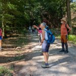 Sensbachtal (9)